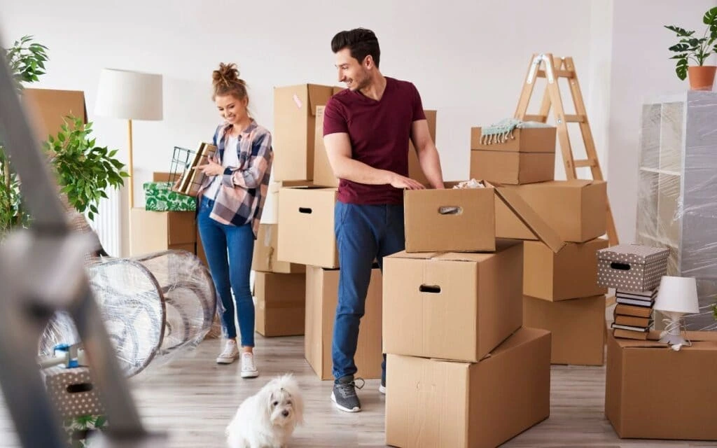 Local Movers in dubai